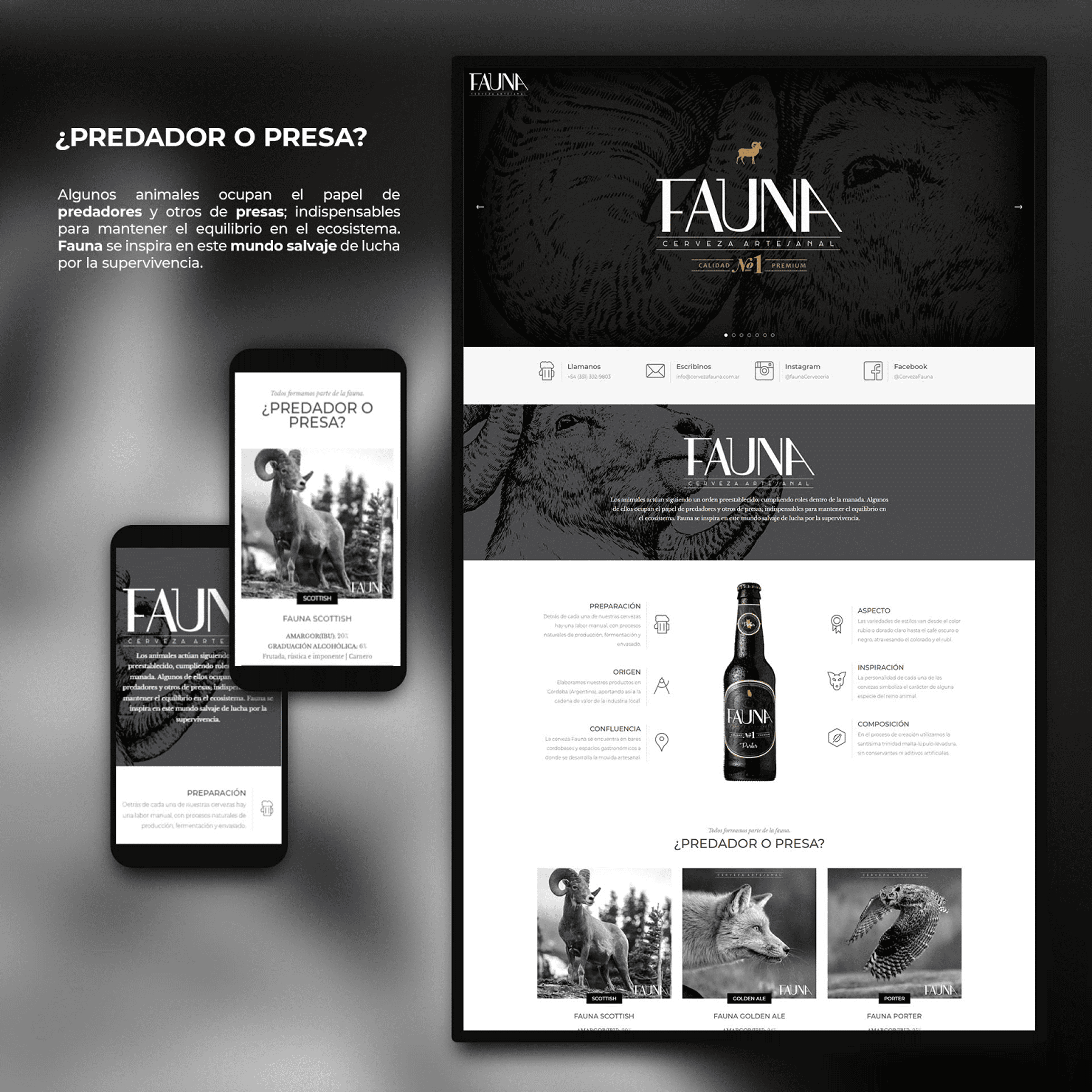 Fauna Craft Beer web design